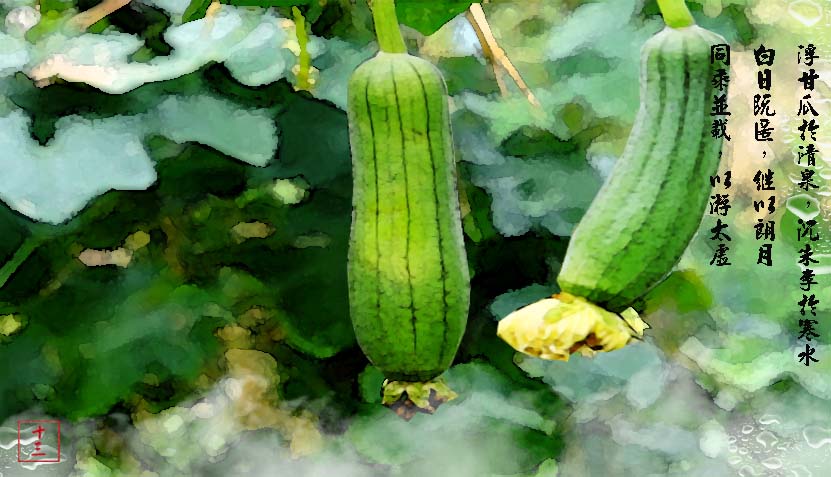 浮甘瓜於清泉2020/01/19