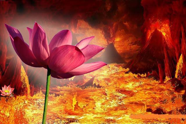 業火紅蓮2019/12/21